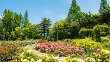 靭公園 / 1