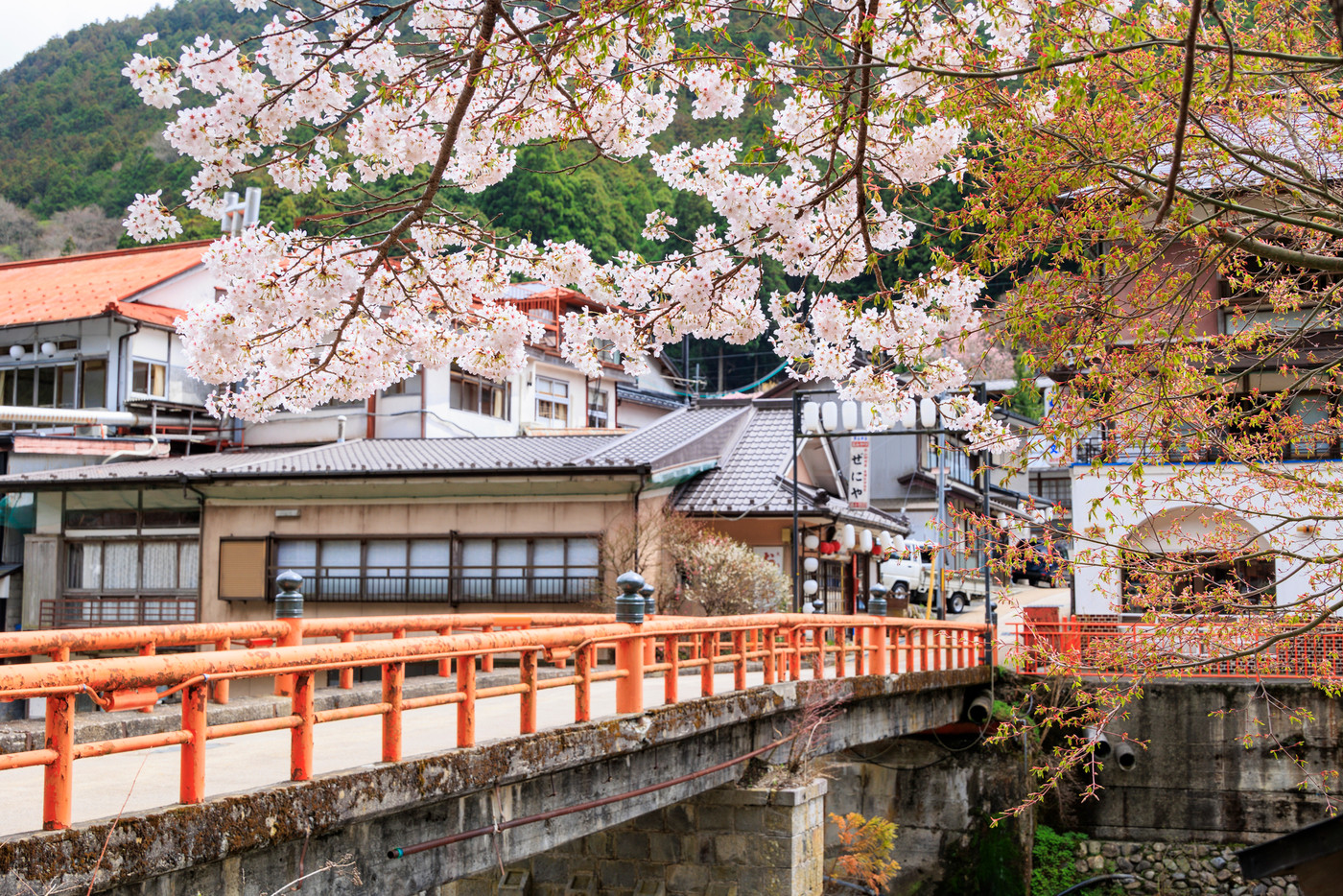 桜満開の洞川温泉　温泉街