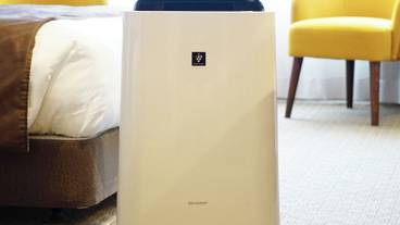 客室の設備とサービス / 14