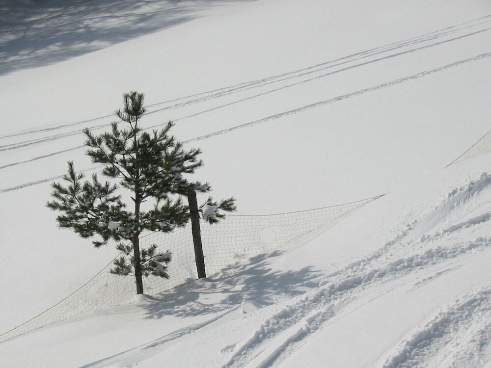 スノー スポーツとスキー