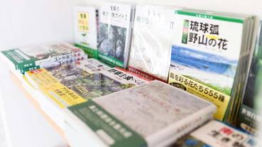 ロビーラウンジ / 30