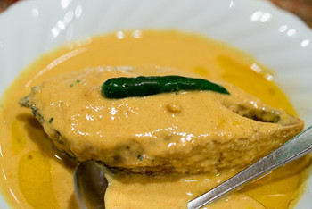 「Puja」料理 916692 2016.10 Sharshe Ilish（2,000円）イリシュのマスタードグレイビー