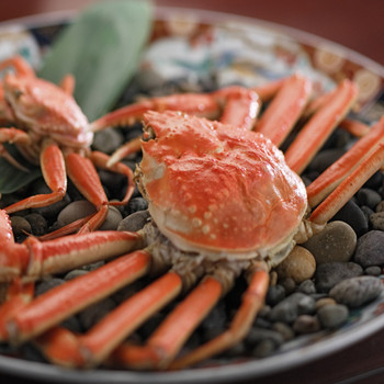 1kg超えタグ付きカニは旨味を味わう「茹で」がおすすめ3571537