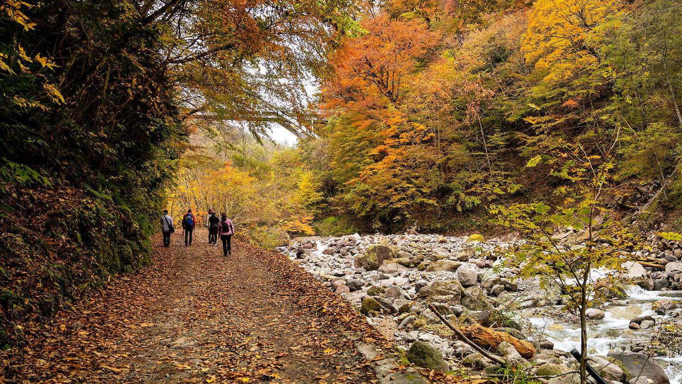 宿泊者向けの送迎もあり4039300