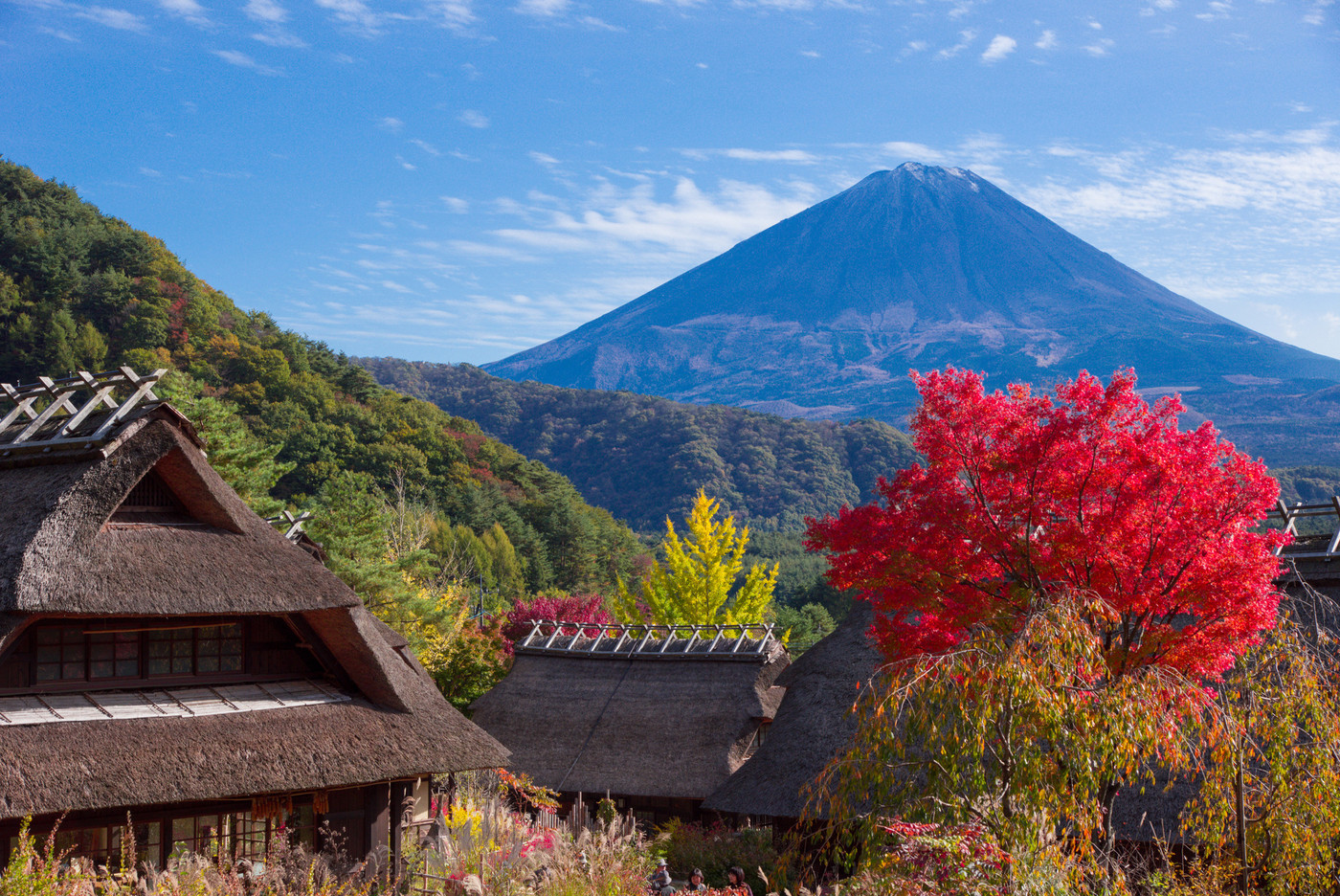 紅葉のわらぶき屋根と富士山