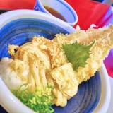 本格手打うどん おか泉(ホンカクテウチウドンオカセン)