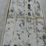 マエダセイカ 羽二重餅の古里（マエダセイカハブタエモチノフルサト）