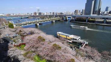 施設からの眺望 / 8