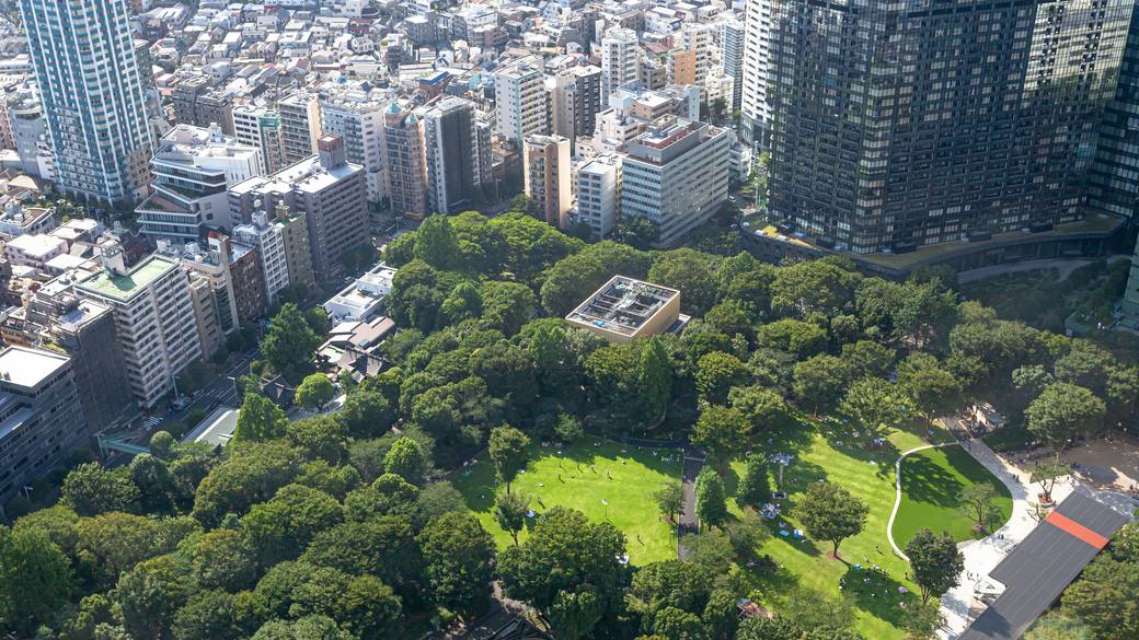 東京都庁からの眺め(1) / 2