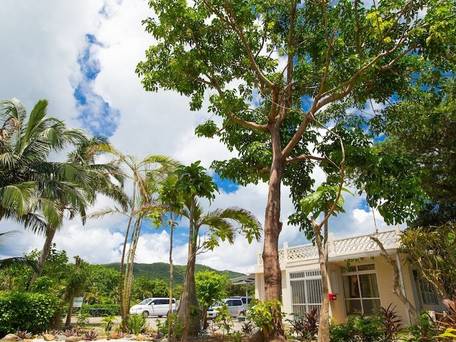 燦鐘苑 マーペーの宿（石垣島） / 3