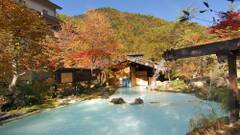 白骨の名湯 泡の湯