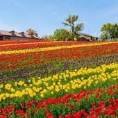 ホテル ソウルガーデン(北海道 アパートメント) / 2