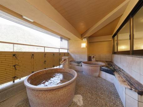 箱根湯本温泉 箱根路開雲 / 2