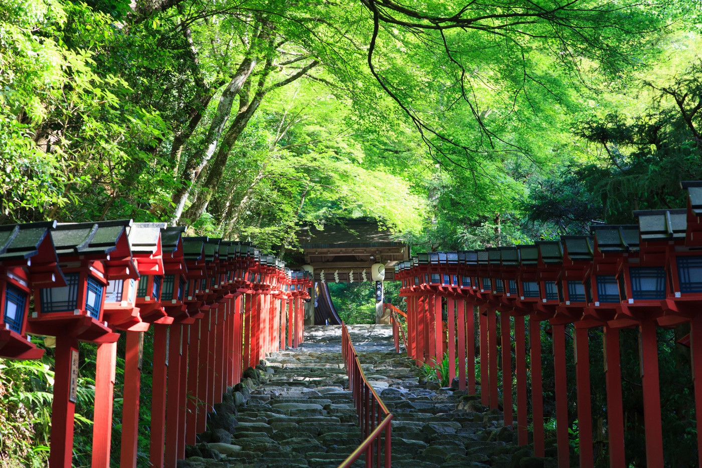 新緑の貴船神社