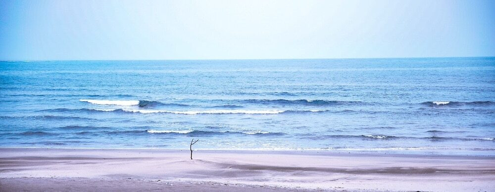 ビーチ / オーシャン ビュー