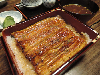 「明神下 神田川」料理 460537 