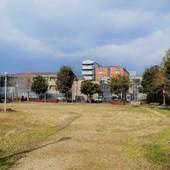 ぴーすはうす阿倍野（大阪府 ゲストハウス・ホステル・ドミトリー） / 2