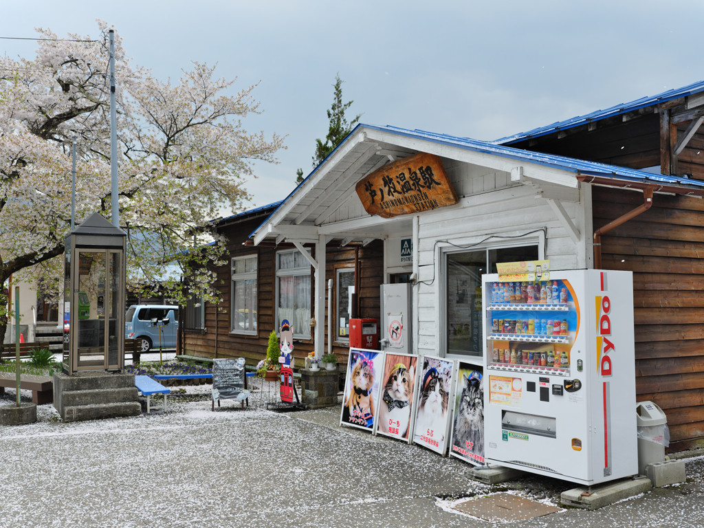 最寄り駅は猫駅長がいる「芦ノ牧温泉駅」3655003