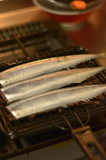 秋刀魚を食べる季節がやってきた♪825900