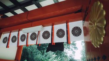 ランド ビュー / 23