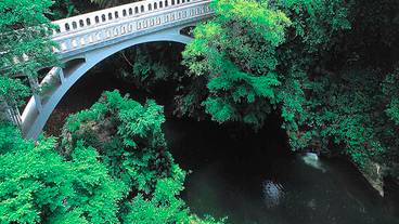 黒谷橋と大聖寺川 / 4