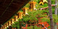 元気になれる女子ひとり旅へ！和歌山のおすすめホテル7選​