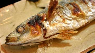 食事・飲み物 / 8