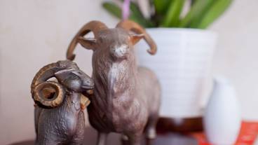 内装の詳細 / 13