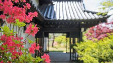 庭園 / 6