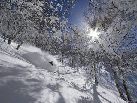 Hakuba Powder Lodge＆Cottage / 3