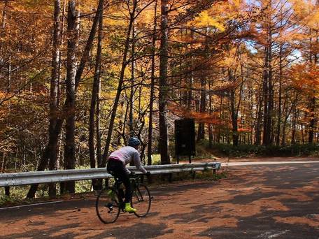 塩原温泉 赤沢温泉旅館 / 4