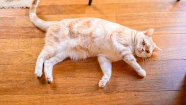 施設内の設備 / 10