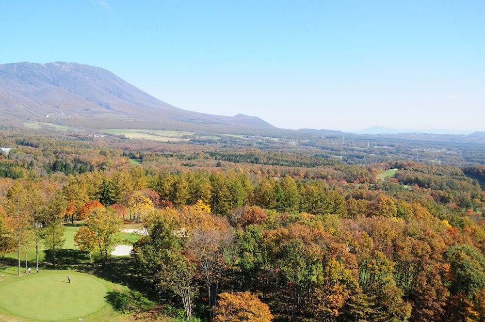 マウンテン ビュー