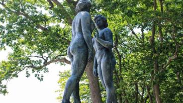 施設の敷地 / 37