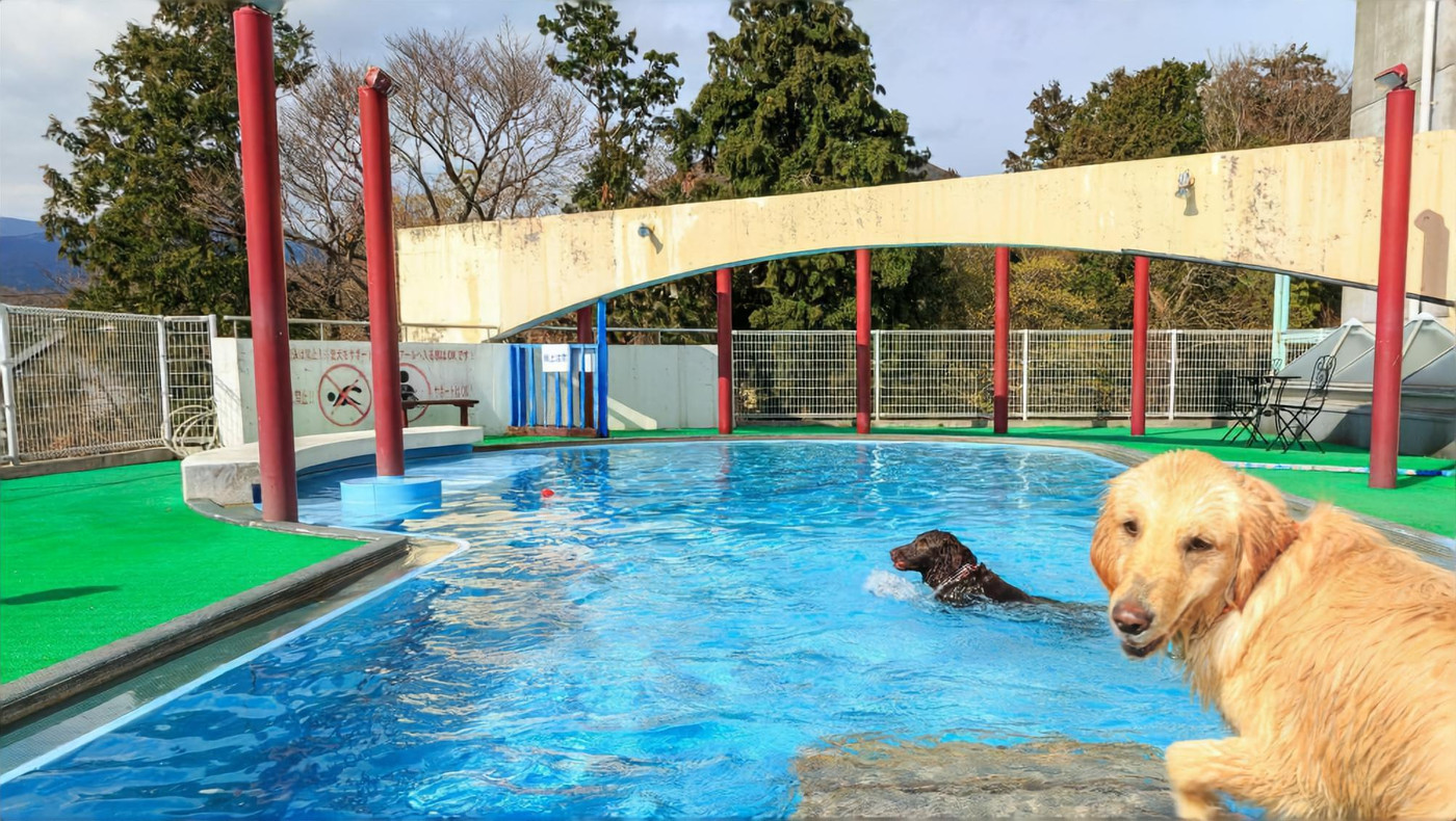 部屋もお風呂も食事もずーっと愛犬のそばにいられる♡3927926