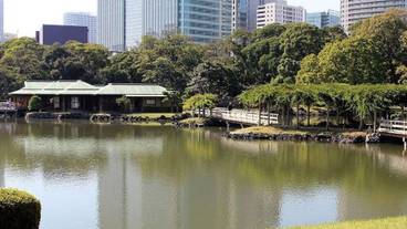 観光スポット / 10