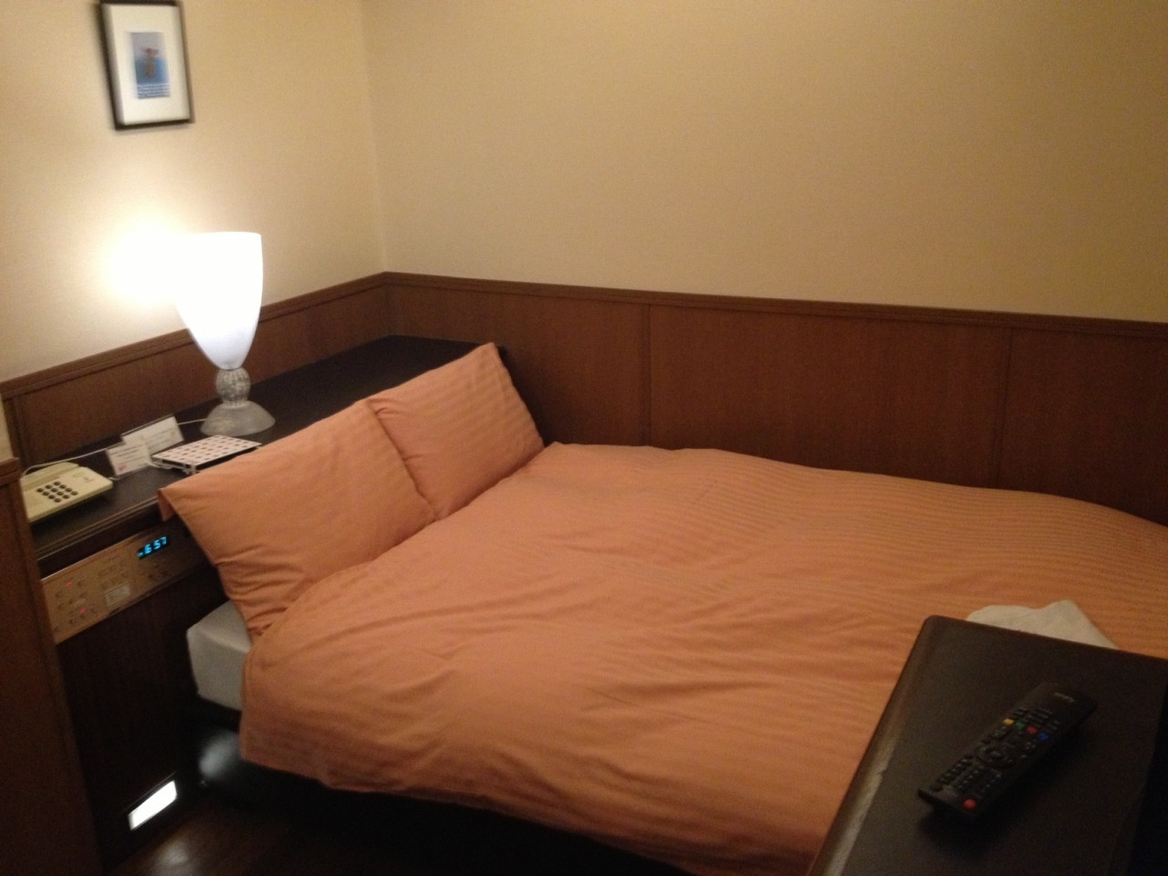 超大型犬や猫ちゃんの宿泊もOK！観光にも便利なお宿4247042