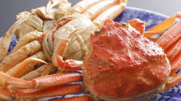 旅館のお食事処 / 36