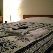 ホテル東金ヒルズ 東金バイパス（BBHホテルグループ）（千葉県 ビジネスホテル） / 2