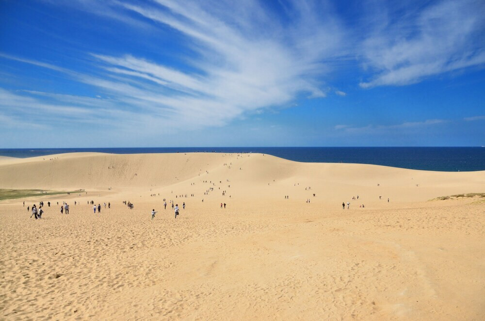 子供向けアクティビティ
