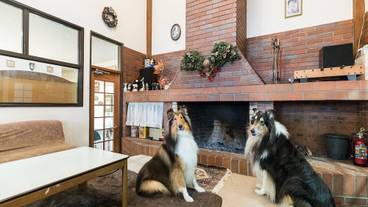 ペット同伴可 / 3