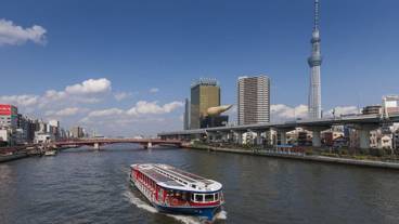 シティ ビュー / 9