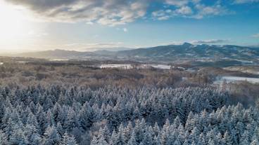 スノー スポーツとスキー / 9