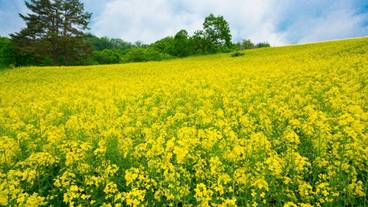 施設からの眺望 / 23