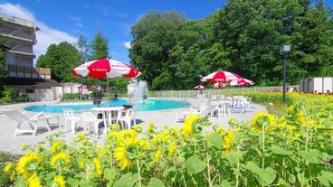 夏季限定のガーデンプール① / 10