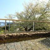 伊勢志摩国立公園 賢島の宿 みち潮（イセシマコクリツコウエン カシコジマノヤド ミチシオ） / 8
