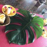 僧伽小野 一秀庵（サンガオノ）