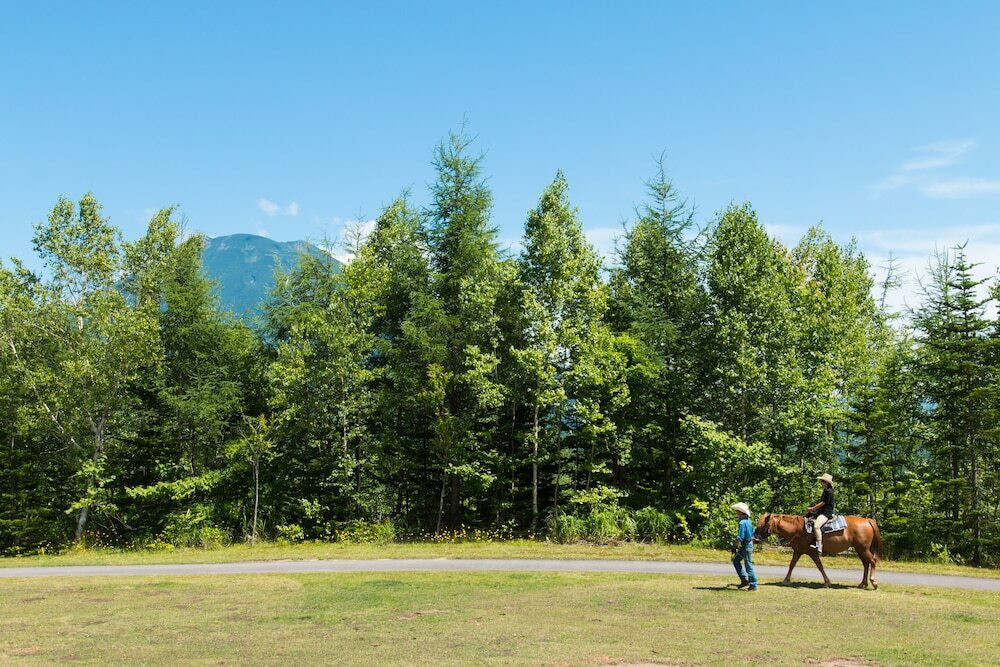 アクティビティ夏②