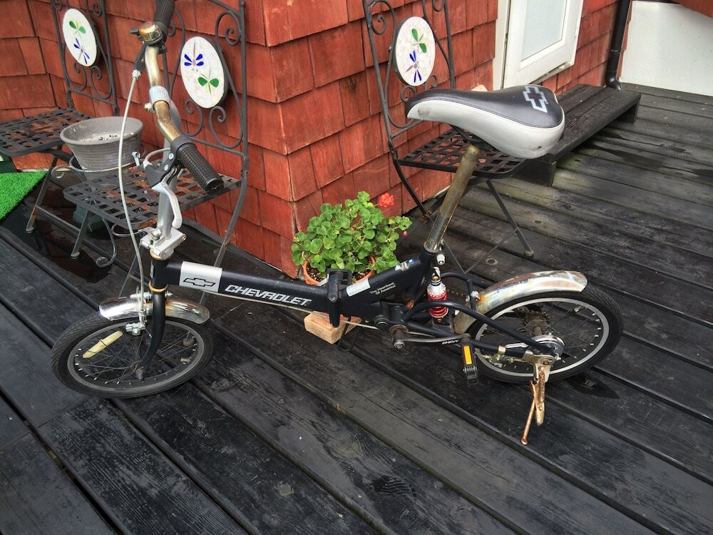 テラス / パティオ