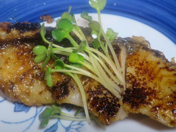 「魚久 人形町店」料理 1018651 銀だら
